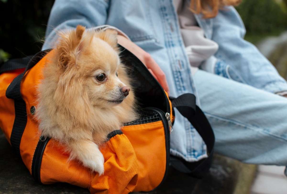 Viajar con mascotas por la Uni&oacute;n Europea exigir&aacute; mayor control.