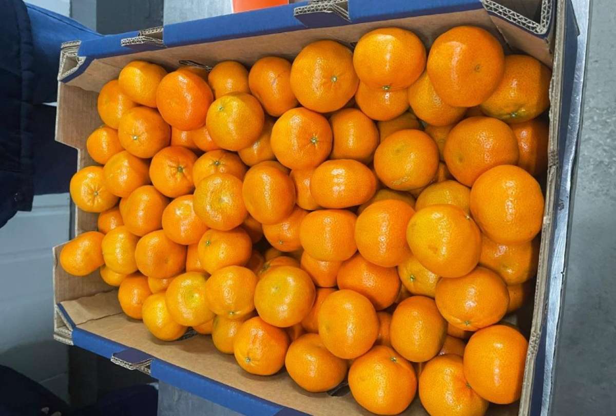 Ecuador ha exportado m&aacute;s de 23 toneladas de mandarina Tango a Estados Unidos.