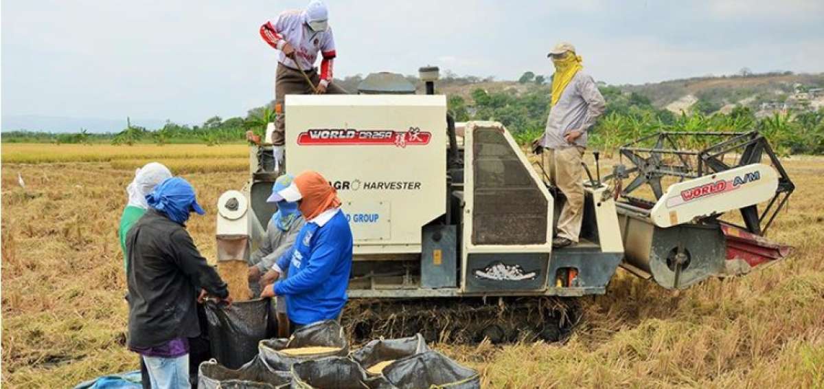 Los agricultores fueron capacitados por t&eacute;cnicos de la entidad para lograr una buena producci&oacute;n de arroz.