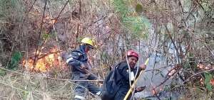 El Cuerpo de Bomberos de Pujil&iacute; contin&uacute;a con combatiendo las llamas en el lugar.