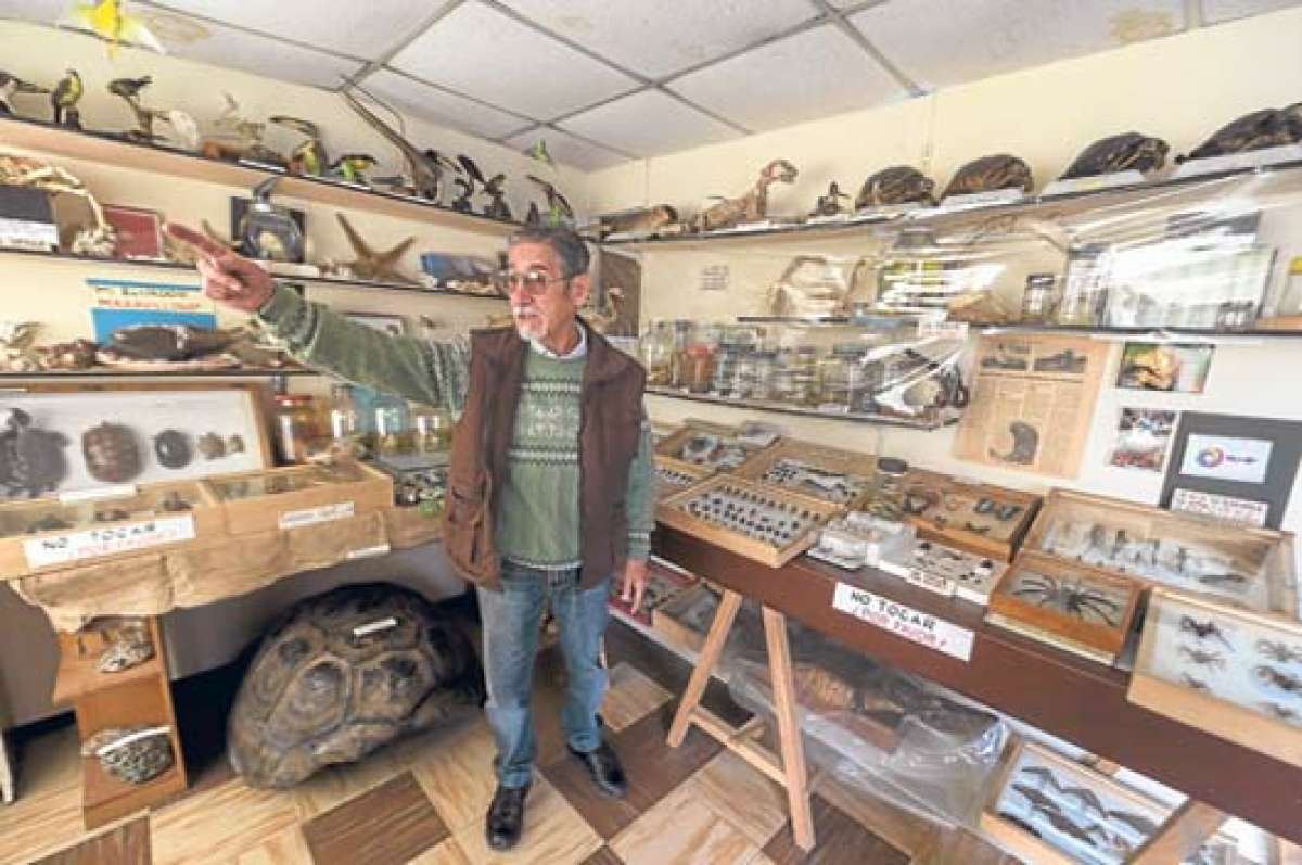 El Museo Yoguito tienen m&aacute;s de mil piezas relacionadas con fauna, flora, arqueolog&iacute;a y documentaci&oacute;n del pa&iacute;s y de la ciudad. Su propietario, Rodrigo Due&ntilde;as, organiz&oacute; su colecci&oacute;n tras un trabajo de aproximadamente 30 a&ntilde;os. Foto: Marco Salgado