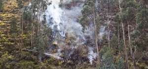 En las cercan&iacute;as de la v&iacute;a a Aguaj&aacute;n, en el cant&oacute;n Ambato, se han registrado dos incendios forestales.