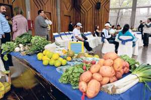 El pasado jueves se efectuaron las primeras ruedas de negocios inclusivas en Quito, para contratar a peque&ntilde;os productores de hortalizas y frutas. Foto: Miguel Jim&eacute;nez/Tel&eacute;grafo