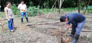 Vivero forestal permitir&aacute; reforestar &aacute;reas cercanas al Parque Nacional Yasun&iacute;