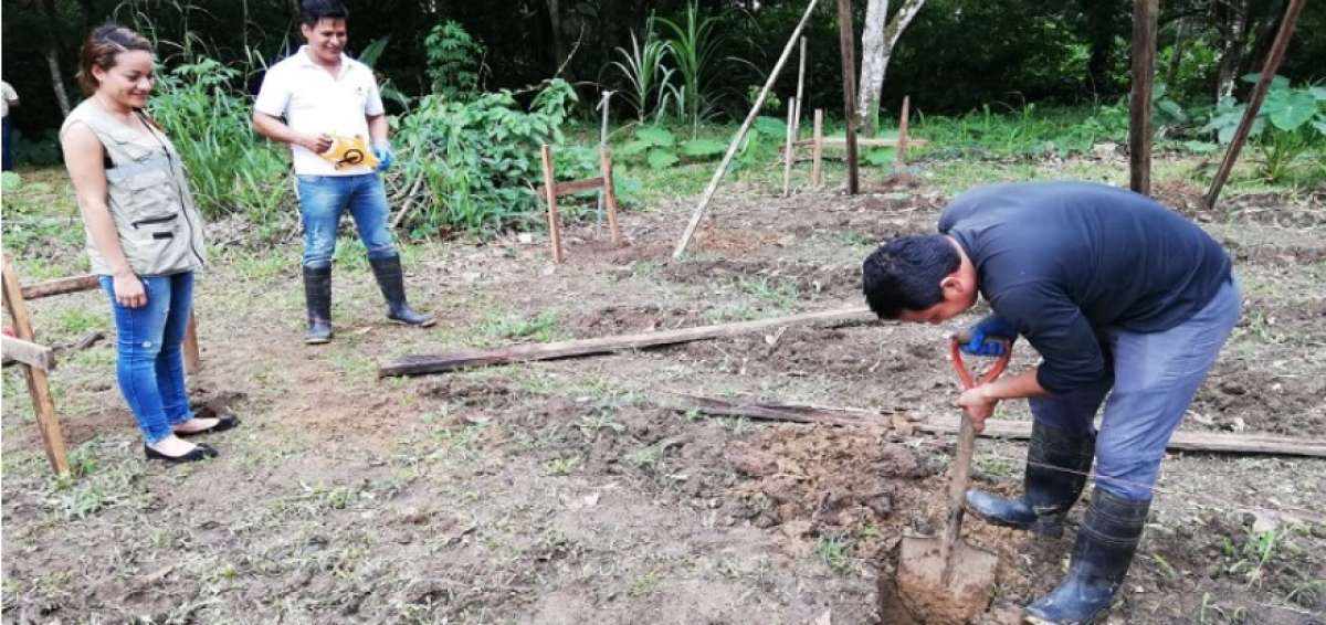 Vivero forestal permitir&aacute; reforestar &aacute;reas cercanas al Parque Nacional Yasun&iacute;