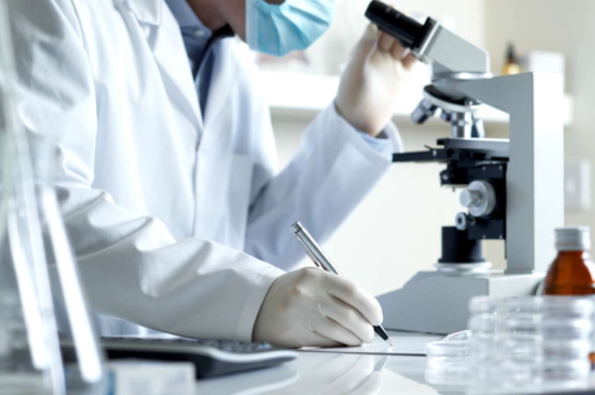 Como en la serie de TV CSI, los bi&oacute;logos toman muestras de los insectos para dar mayores pistas en el caso de un crimen.