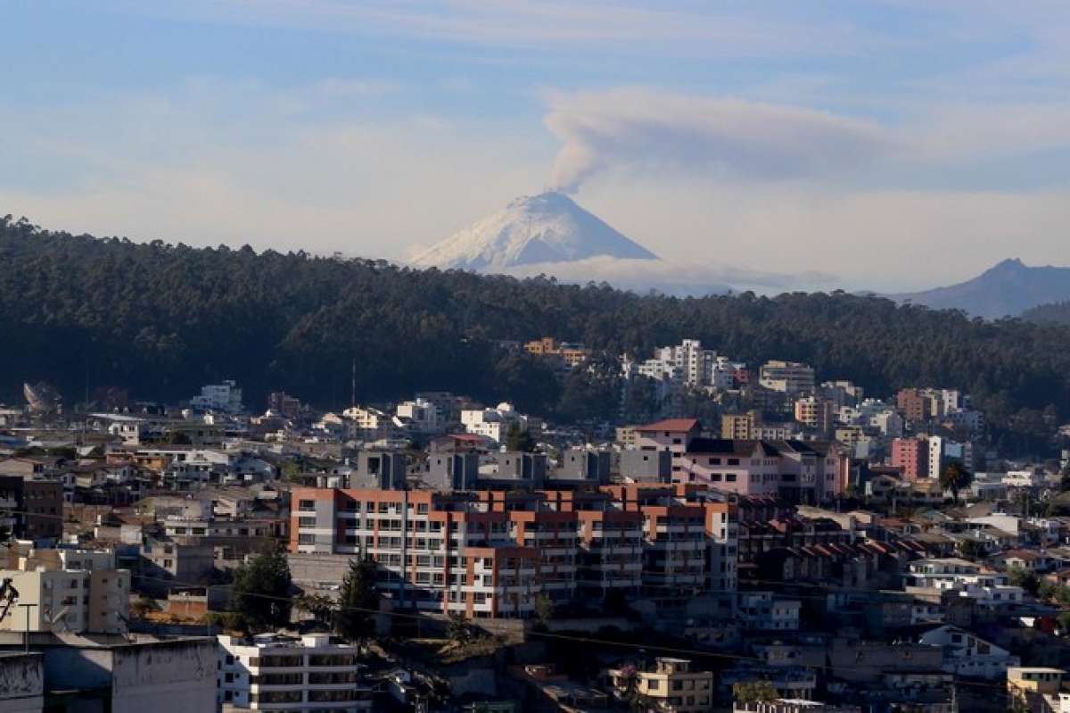 Foto: Mario Egas / EL TEL&Eacute;GRAFO