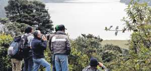 Sistema de riego obliga al rescate de especies