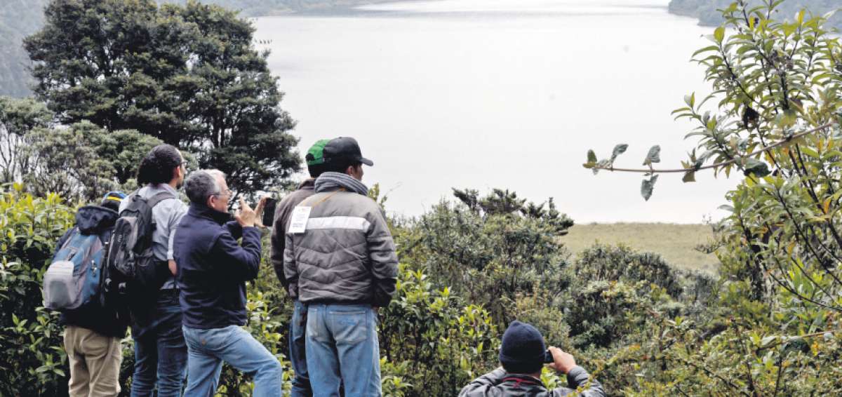 Sistema de riego obliga al rescate de especies