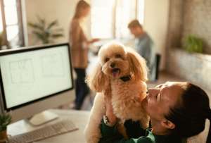 Las oficinas pet friendly ganan espacio en Ecuador y el mundo.