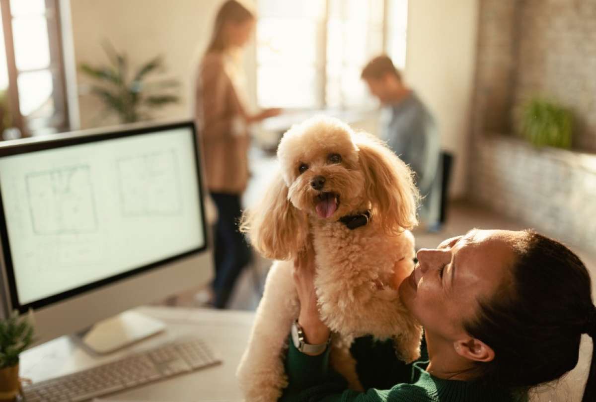 Las oficinas pet friendly ganan espacio en Ecuador y el mundo.