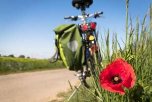 Tres ciclistas fallecieron tras ser arrollados