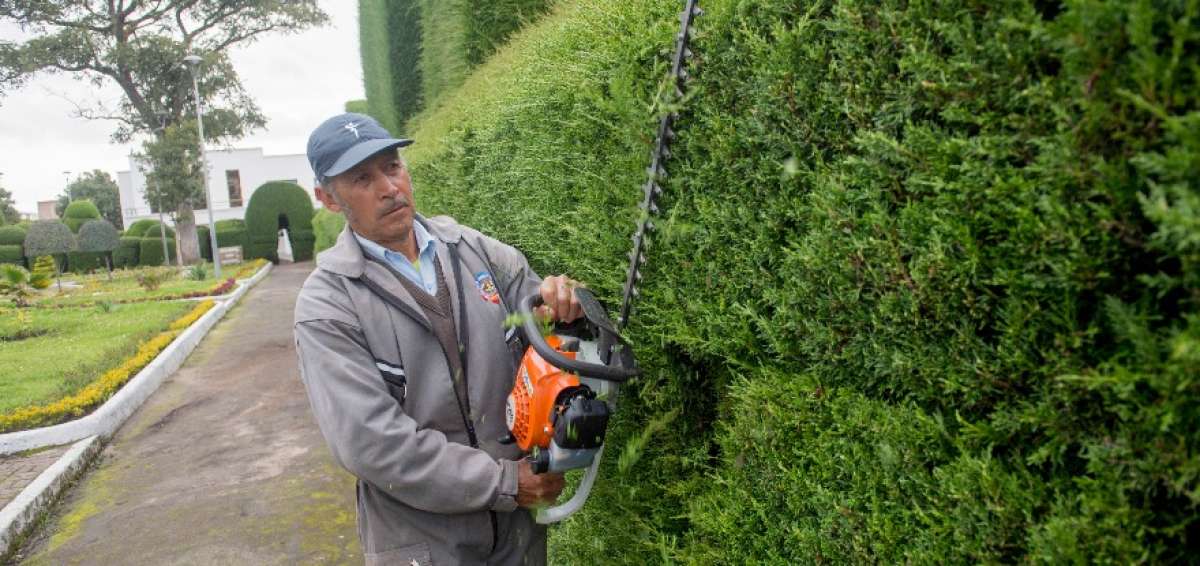 309 esculturas patrimoniales son podadas con sus manos