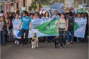 Decenas de personas marcharon a la Asamblea para entregar el proyecto de Ley LOBA que prioriza el bienestar animal y proh&iacute;be el maltrato. Foto: Archivo / El Tel&eacute;grafo