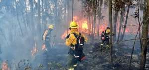 Ladera de Nay&oacute;n arde durante m&aacute;s de 20 horas