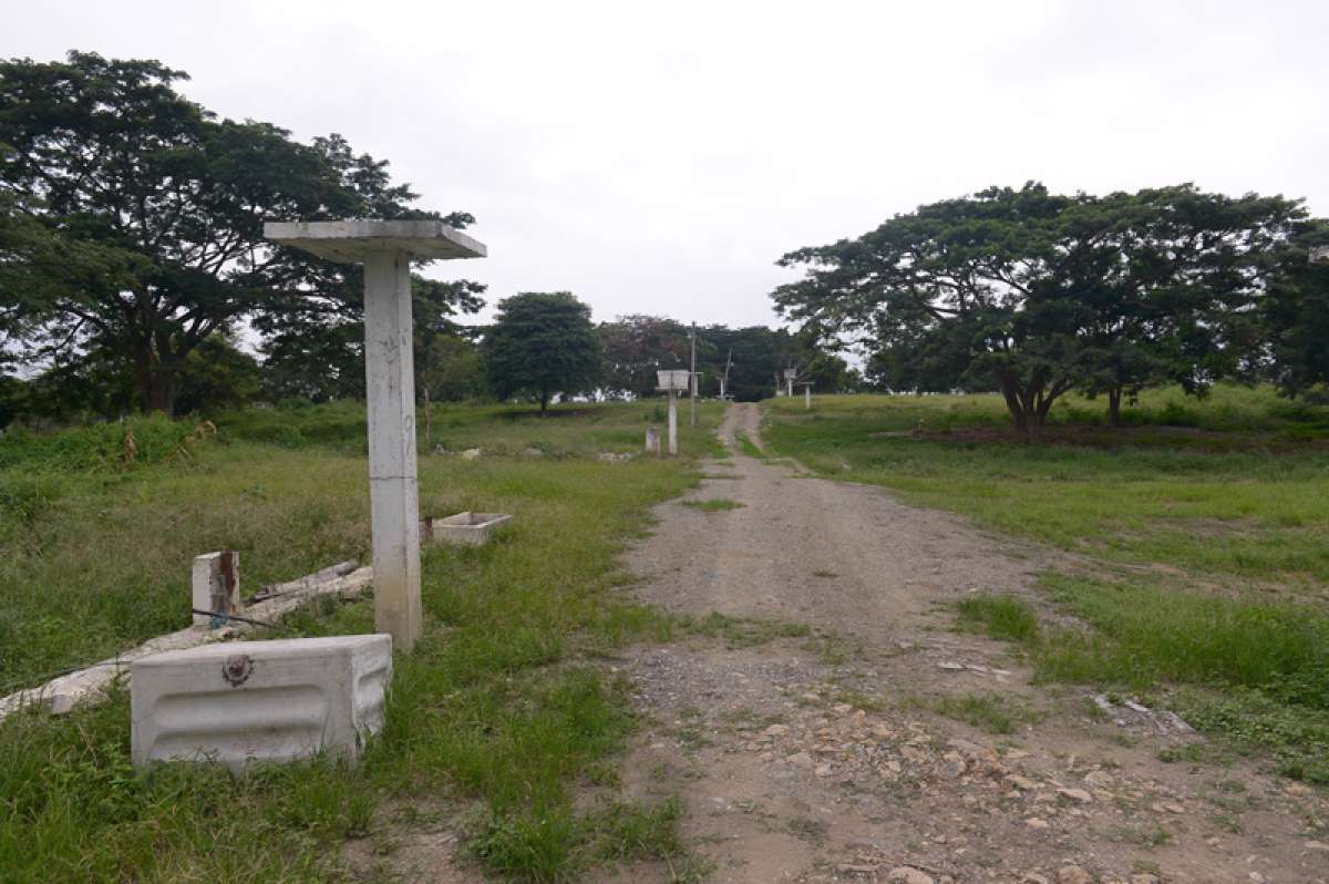 El lugar de la misa del Papa est&aacute; cubierto de maleza. El Municipio se encargar&iacute;a de limpiar el &aacute;rea. Foto: Karly Torres / El Tel&eacute;grafo