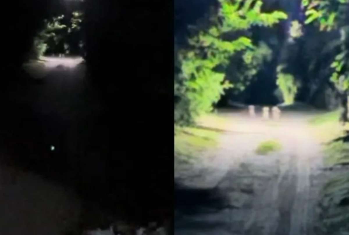 &ldquo;Encontramos duendes en C&oacute;rdoba&rdquo;: el clip nocturno que desat&oacute; debate en redes