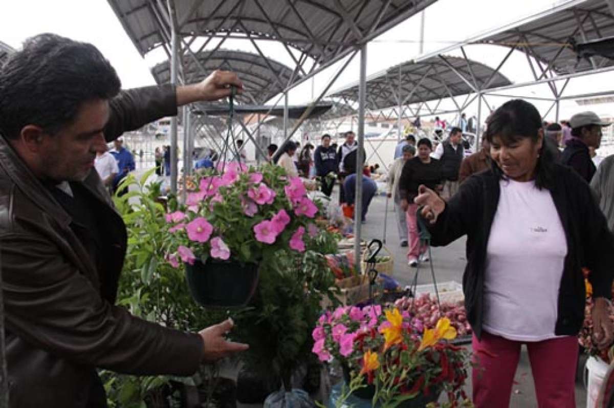 Feria de flores engalana al Am&eacute;rica