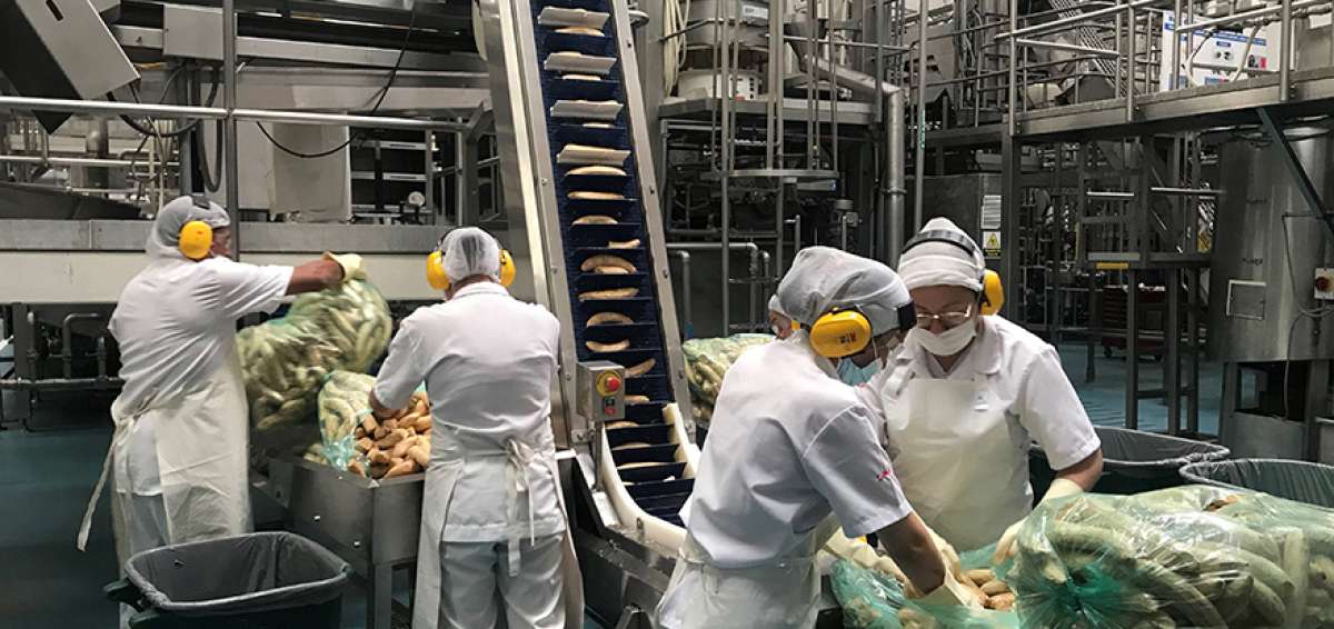 Mujeres procesan y empacan pl&aacute;tanos en la f&aacute;brica de PepsiCo en Colombia. La planta genera 20.000 toneladas al a&ntilde;o y tiene 13 l&iacute;neas de productos.