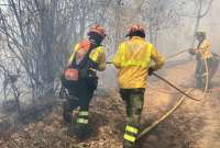 El incendio forestal fue controlado