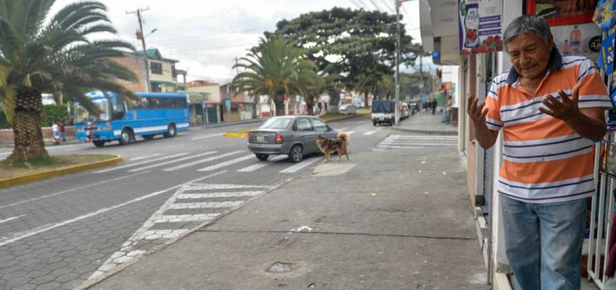 Segundo Guzm&aacute;n, al pie de su casa, manifest&oacute; que su zona es comercial y transitada por muchos peatones, por lo que solicita mayor control del tr&aacute;fico.