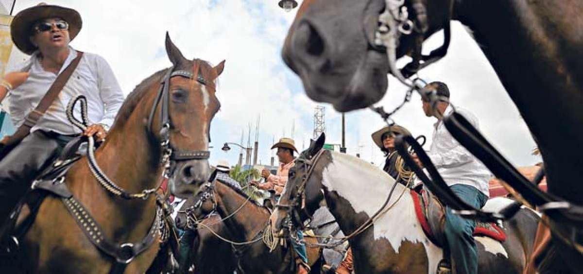 Los caballistas de Manab&iacute; tienen varios a&ntilde;os rindiendo homenaje a las jurisdicciones de la provincia. Ambientan su presentaci&oacute;n con m&uacute;sica y al finalizar prestan los pencos para que la ciudadn&iacute;a se tome foto. Rodolfo P&aacute;rraga / El Tel&eacute;grafo