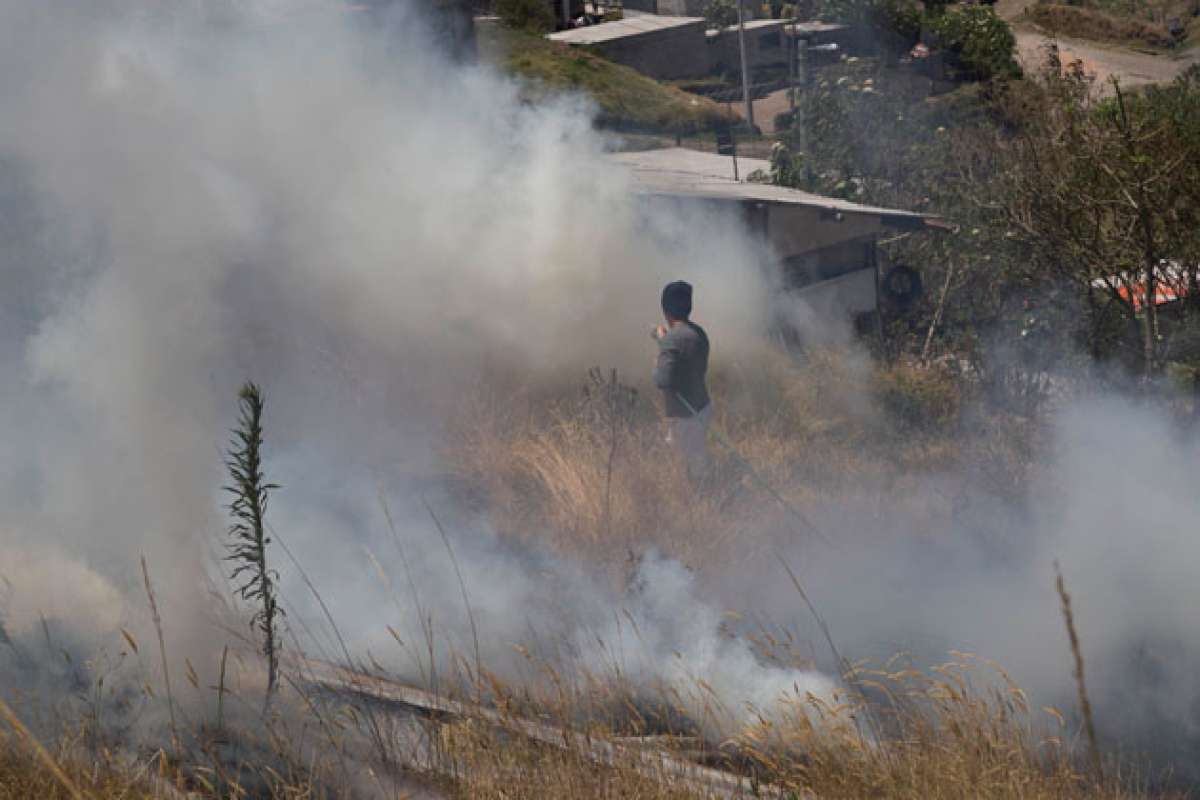 Seg&uacute;n las autoridades, en el sector del Pasochoa se afectaron m&aacute;s de 20 hect&aacute;reas. Este fin de semana, esa localidad result&oacute; severamente afectada. Foto: Mario Egas/ El Tel&eacute;grafo