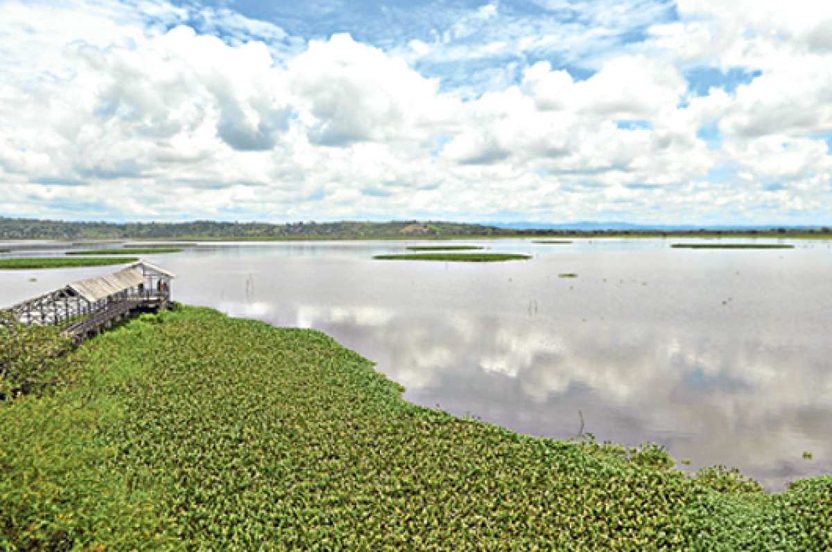 La profundidad promedio del humedal, seg&uacute;n los moradores, es de 4 metros. Tras la reducci&oacute;n del ingreso de agua el estanque tiene entre 2 y 3 metros. Foto: Rodolfo P&aacute;rraga / El Tel&eacute;grafo