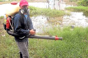 Para detener el dengue en El Oro se quiere dar uso a un biolarvicida biol&oacute;gico, eliminar  los dep&oacute;sitos no &uacute;tiles  y otras actividades sanitarias. Foto: Fabricio Cruz |  para El Tel&eacute;grafo