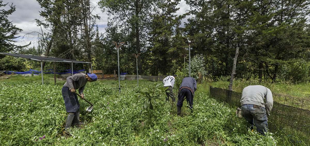 El Centro para adicciones Dame una mano (CADUM), en el Valle de los Chillos, ofrece un tratamiento residencial por un per&iacute;odo de seis meses. En el espacio se brinda aprendizaje de agricultura, carpinter&iacute;a y manualidades a base de material reciclable. La capacidad es para 13 varones a los cuales se les brinda atenci&oacute;n personalizada con consultas m&eacute;dicas interdisciplinarias.