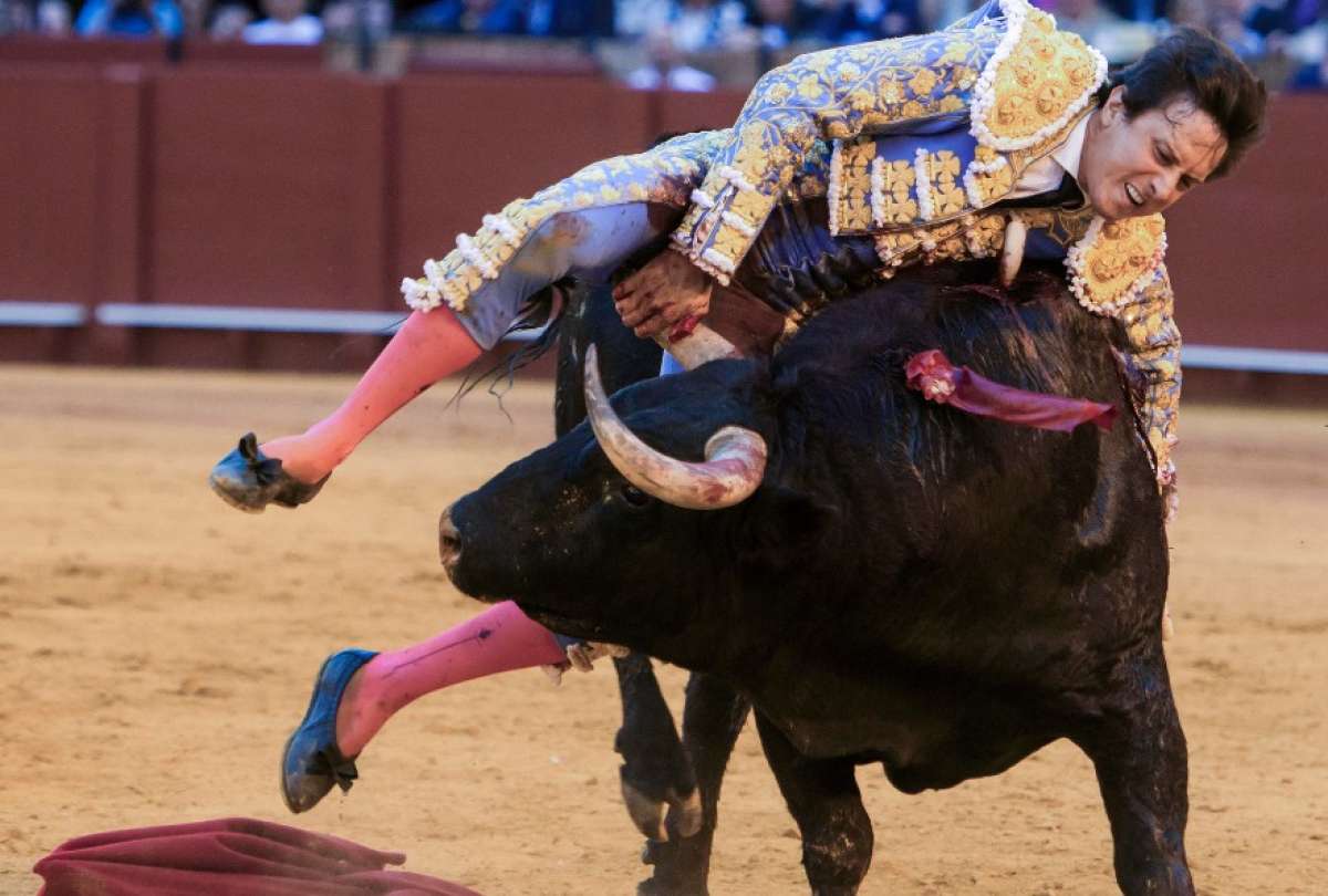 Andr&eacute;s Roca Rey ya fue operado.