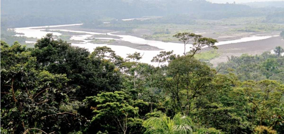 En la comunidad hay varios senderos en los que los lugare&ntilde;os y visitantes recorren gran parte del bosque tropical del lugar.