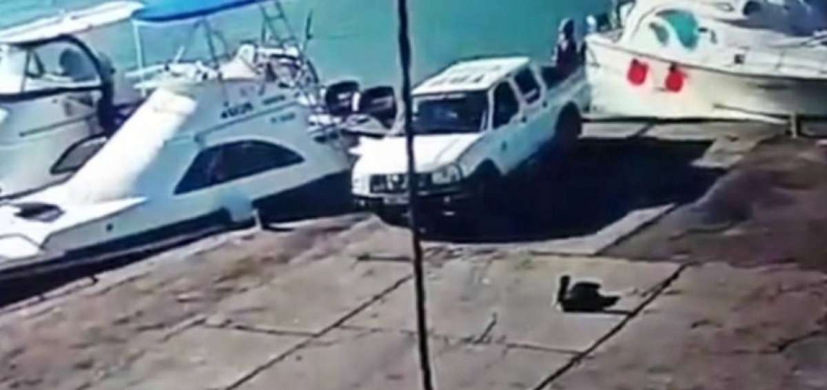  El hecho fue captado por una c&aacute;mara de vigilancia del muelle de carga