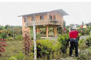 Adem&aacute;s de las casas, las familias siembran cacao para comercializarlo.