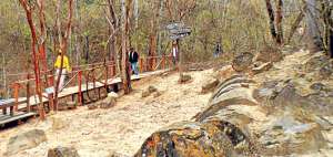 Los turistas pueden caminar largos trechos por el bosque, siempre son conducidos por gu&iacute;as especializados. Foto: Fabricio Cruz / El Telegrafo