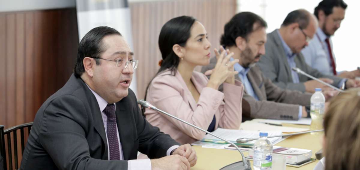 Carlos de la Torre, ministro de Finanzas, durante su intervenci&oacute;n ante la Comisi&oacute;n de R&eacute;gimen Econ&oacute;mico de la Asamblea Nacional.