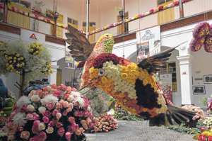 Las flores se vuelven arte en  la Casa del Portal