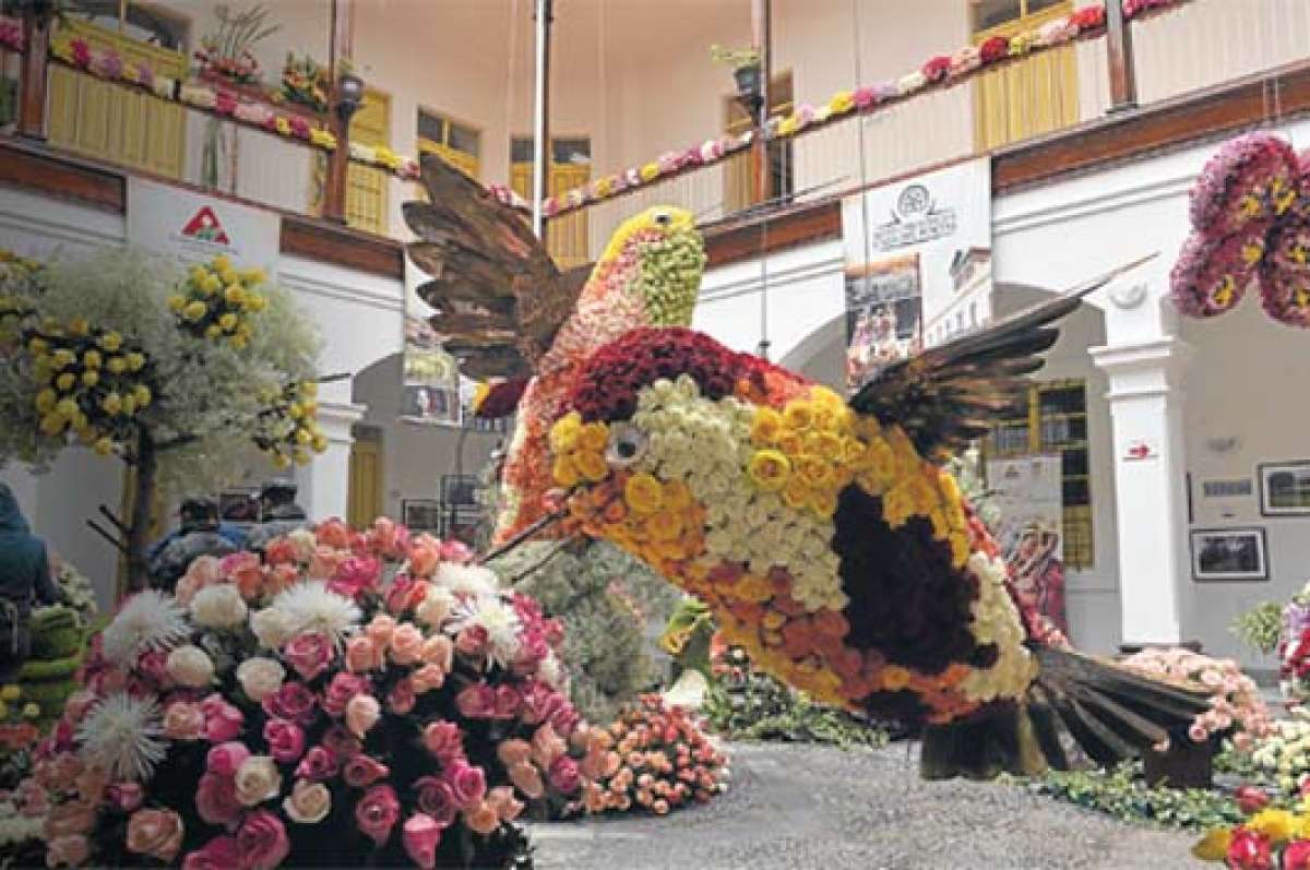 Las flores se vuelven arte en  la Casa del Portal