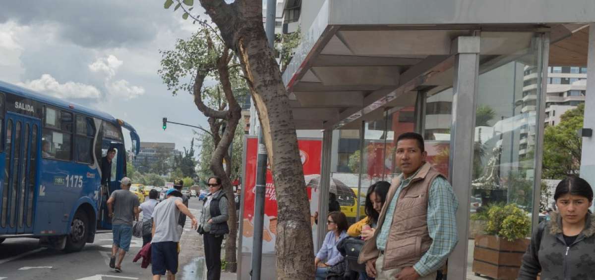 Las nuevas paradas son instaladas de forma paulatina.