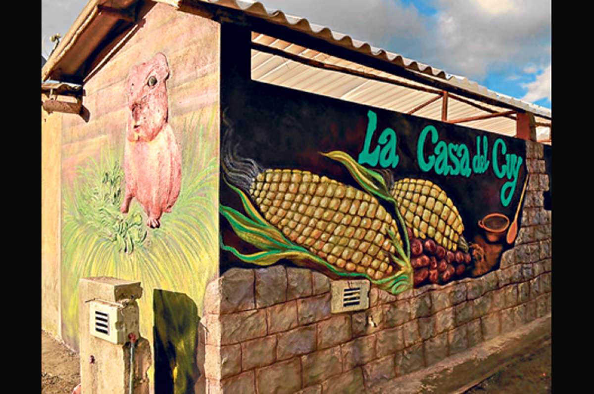 Foto: Carlos Jim&eacute;nez/El Tel&eacute;grafo