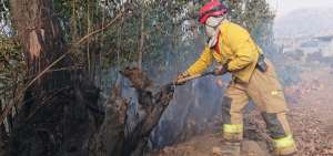 Hasta el momento se registran m&aacute;s de 400 hect&aacute;reas consumidas por el fuego.