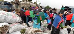 Gran parte de la producci&oacute;n de papa en Tungurahua est&aacute; en Tisaleo, desde donde cada lunes se provee del producto al Mercado Mayorista de Ambato.