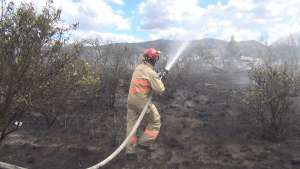 Incendio forestal alarm&oacute; a barrio del sur de Riobamba