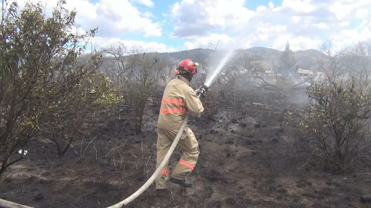 Incendio forestal alarm&oacute; a barrio del sur de Riobamba