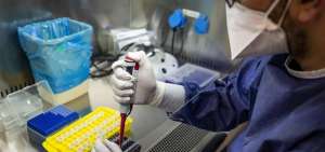 Universidad de EE.UU. encuentra una mol&eacute;cula capaz de prevenir la infecci&oacute;n por coronavirus