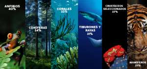 Un mill&oacute;n de especies est&aacute;n en peligro de extinci&oacute;n