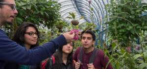 La maywa de Quito es la orqu&iacute;dea emblem&aacute;tica de la capital. Fue descubierta en 1856 y a&uacute;n existen ejemplares silvestres en la ciudad.