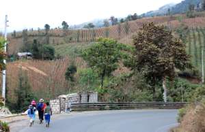 En el lugar viven 200 familias y se dedican principalmente a la agricultura.