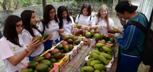 Estudiantes del Ecomundo apreciaron las diferentes variedades de mango