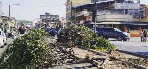 Los arbustos permanecieron en la calzada de la avenida Los Chirijos hasta la tarde del domingo.